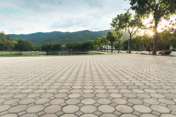 Best Concrete Paver Driveway  in Summerfield, NC